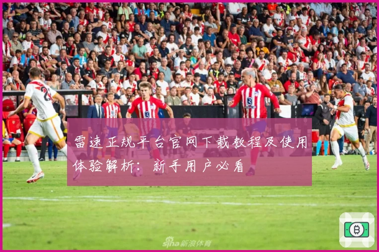 雷速正规平台官网下载教程及使用体验解析：新手用户必看
